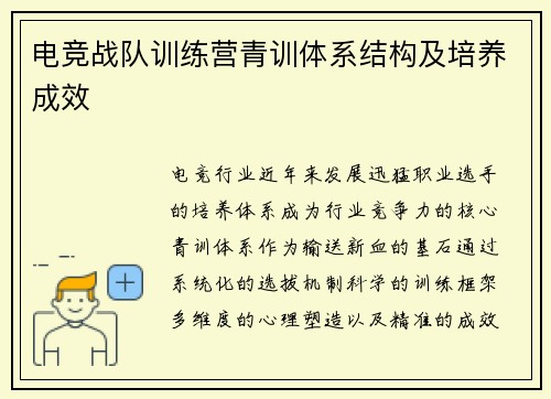 电竞战队训练营青训体系结构及培养成效